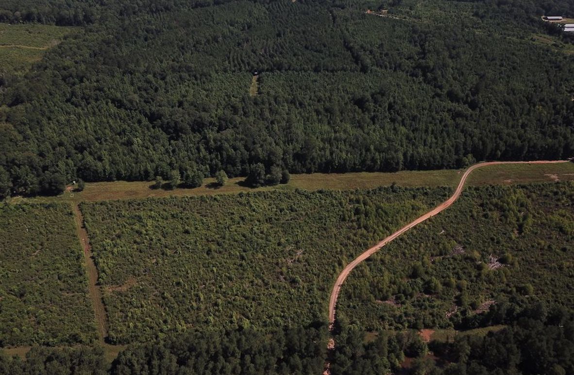 DJI_0005