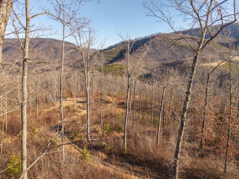 DJI_20260216162111_0039_D(1)