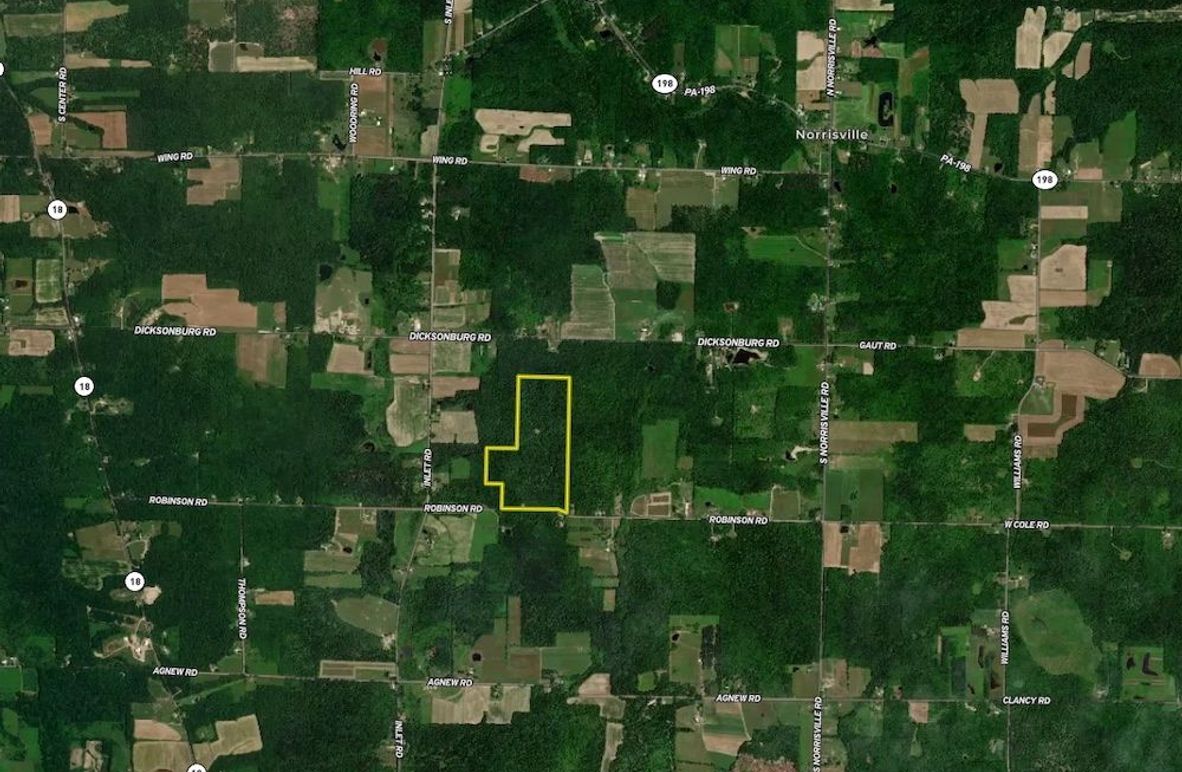 Screen Shot 2025-04-29 at 7.44.38 PM