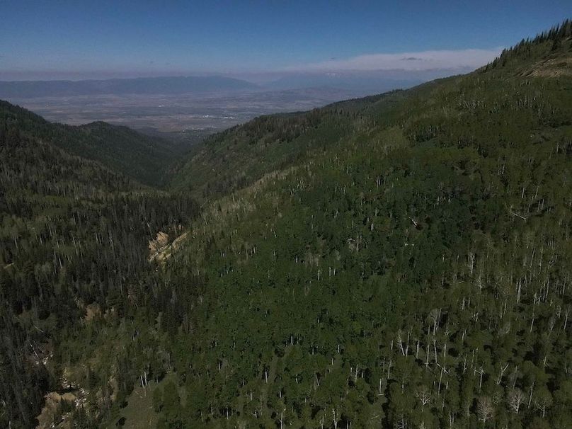 Copy of Photo_1080295618_DJI_194_jpg_4763856_0_202261412538_photo_original.jpg