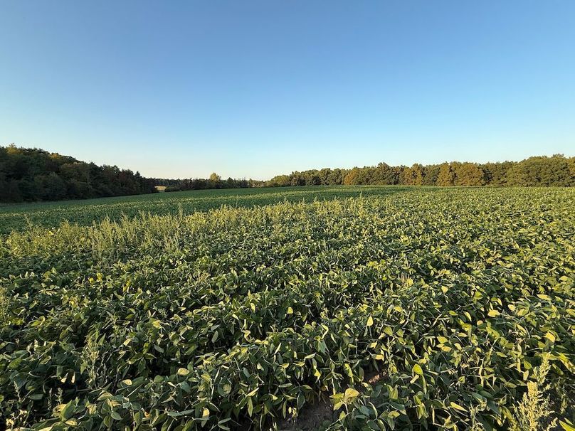 Copy of Wood Tract 3 Photo 14