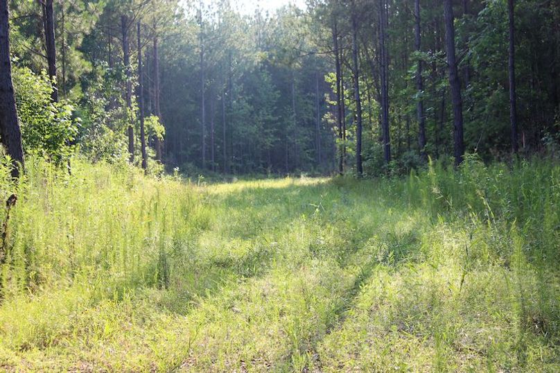 Copiah Co - 192 - Nutt-08