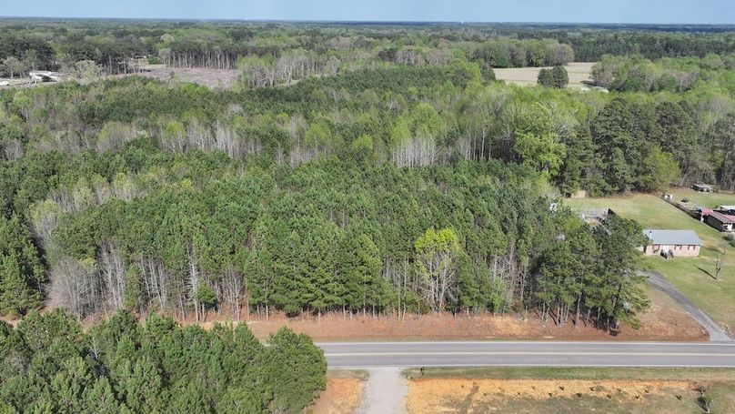 dji_fly_20260330_085320_0540_1774989416199_photo