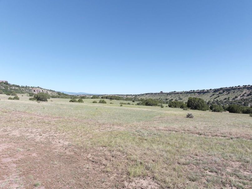 DJI_20250619093153_0003_D