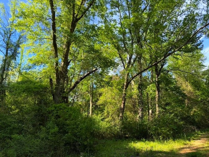 30678BCB-E017-4B1C-94FE-8E3C97D89C1B_1_105_c