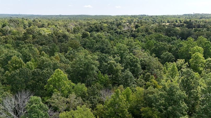 DJI_20250728112807_0147_D