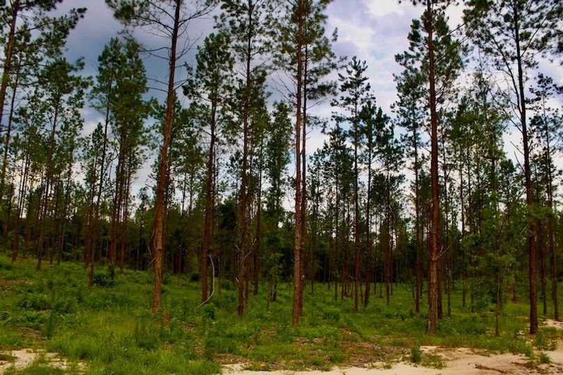 ABEF7708-5C3D-4B18-B793-6127A77790A4_1_105_c