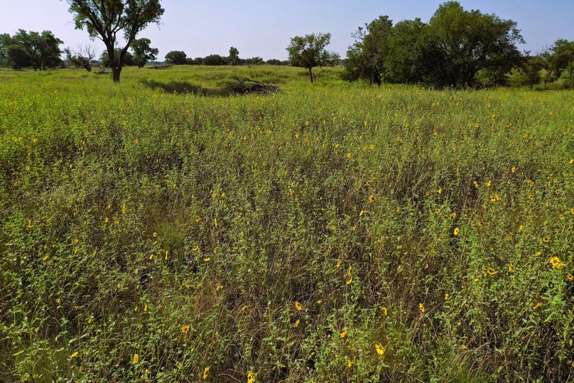 DJI_0081-Steves-Laptop