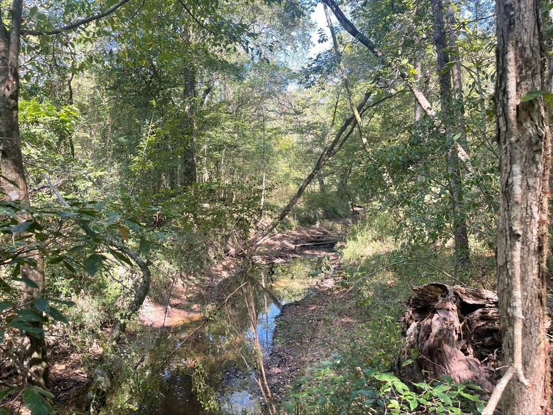 1238C949-964B-4018-B03C-4601B68967EE_1_105_c