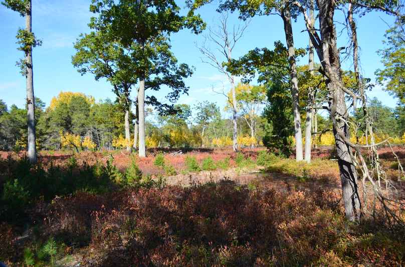 Screenshot 2025-11-14 at 11.06.30 AM