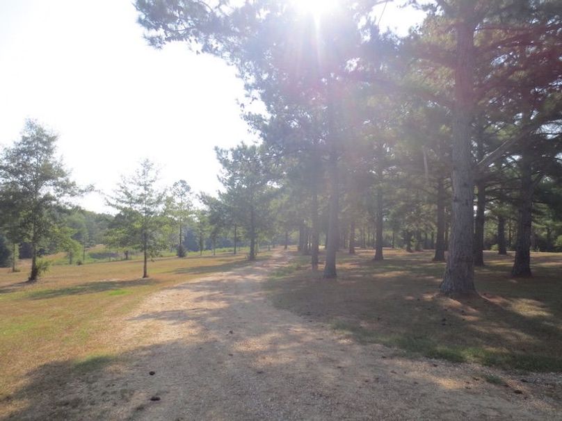 36C9BFA3-8114-4F73-A7FC-3CC1FC456ABB_1_105_c