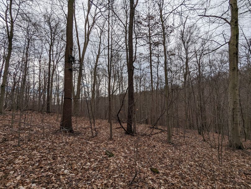 PXL_20230213_161457417