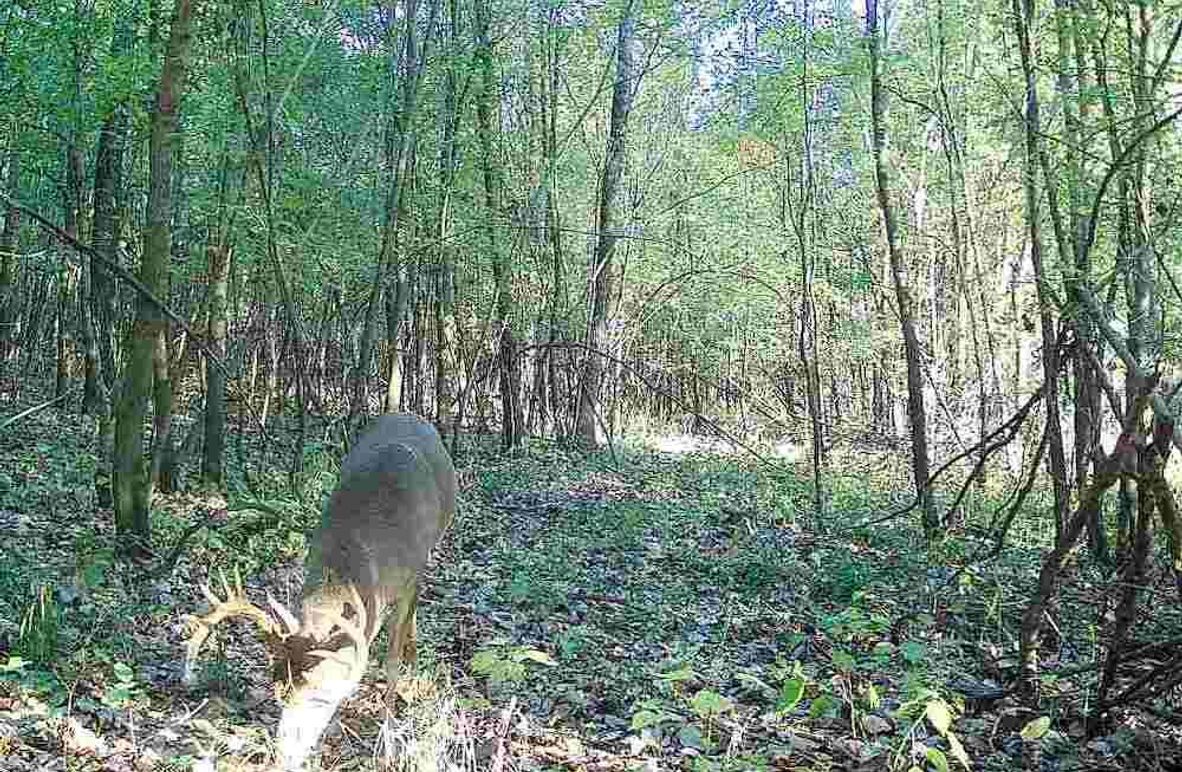 1 - 2026-01-02T122426.211