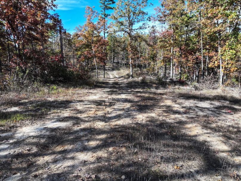 DJI_20251104130737_0854_D