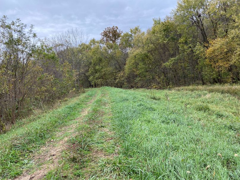 pics from late 2021 and early 2022. New plots being planted in Aug 2023 for new pics (7)