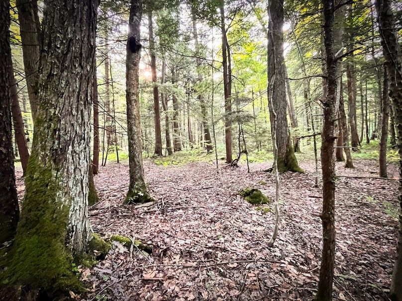 Oswego_25.66_Pettit_Photos_44