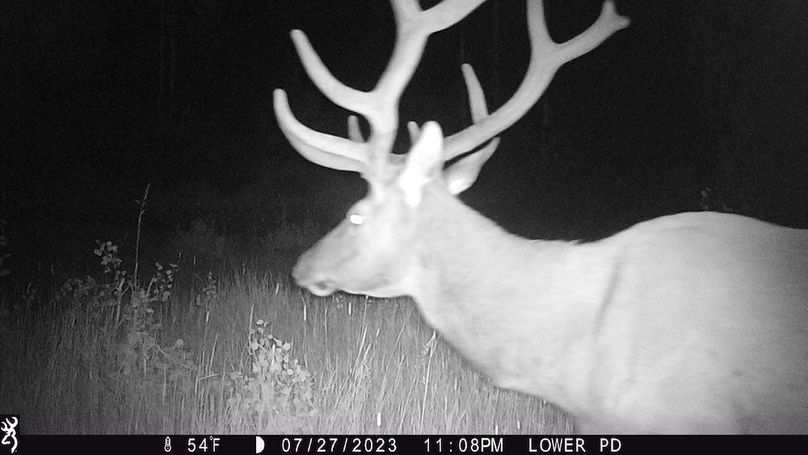 Copy of 79797530-352A-41D5-86B4-4B52094AA7C0