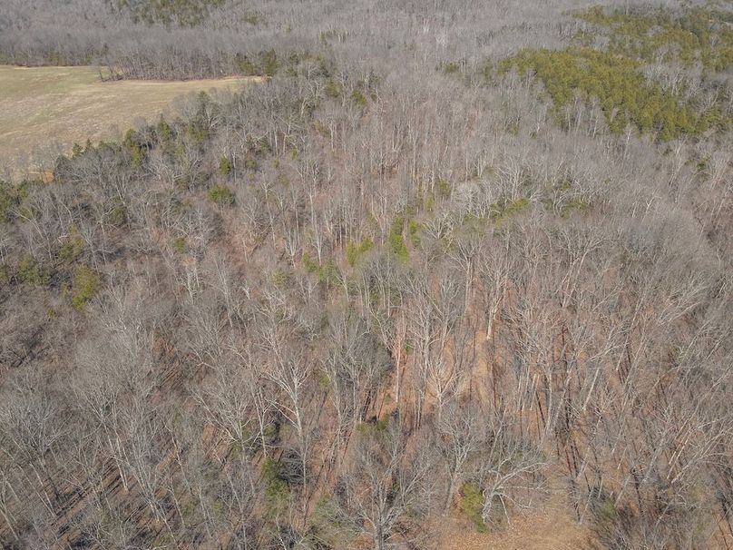 1-DJI_20260228135326_0008_W