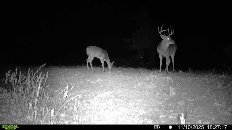 016579007781193-58-3-11102025182846-HD-SYFW04115