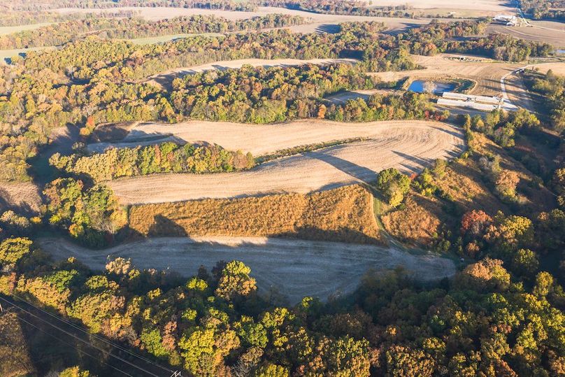 DJI_20251031083338_0313_D-HDR