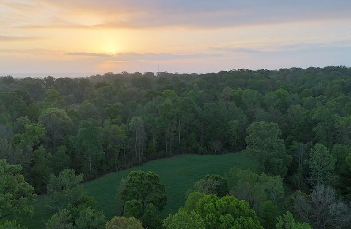 Claiborne Co-314-Fernandez-3