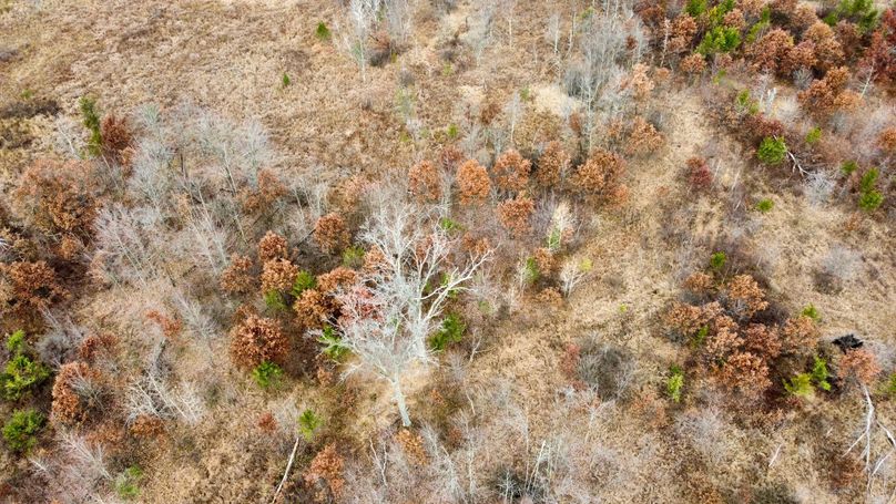 dji_fly_20231105_092938_760_1699198307111_photo_optimized 2