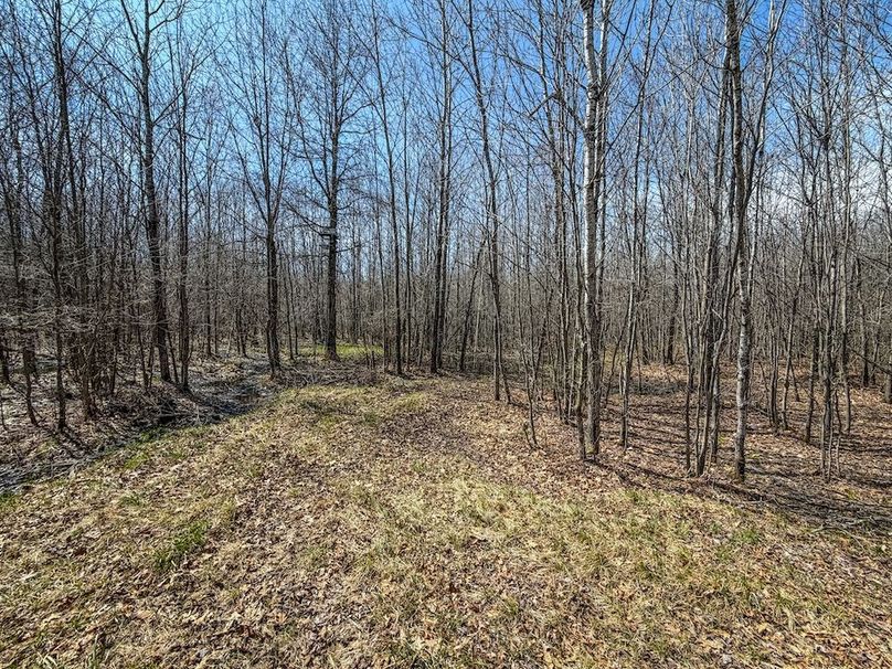 ClarK 160 WILLIAMS -60