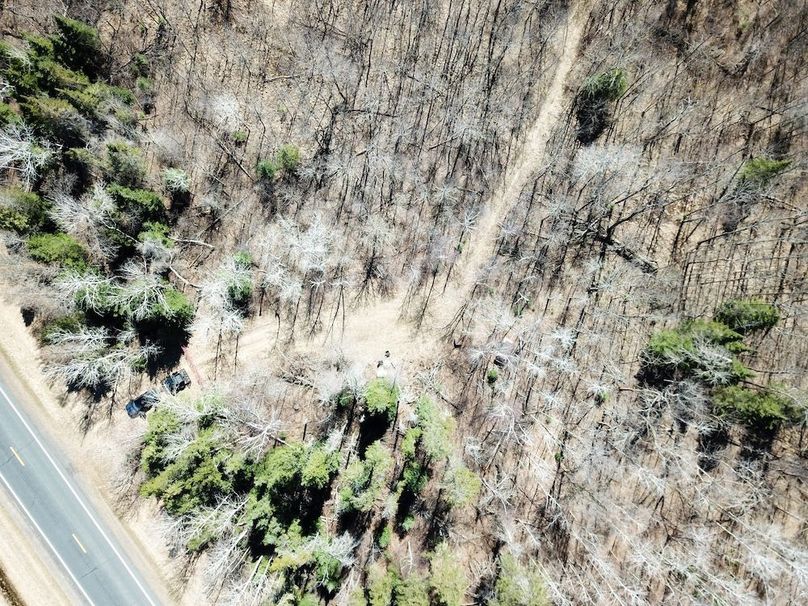 DJI_0037