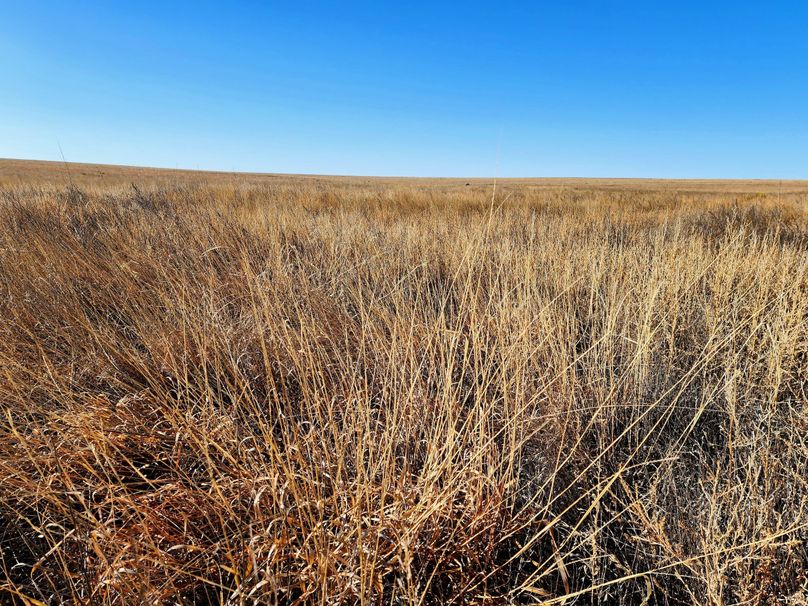 Copy of 20230208_090006