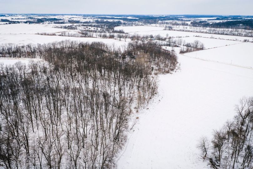 DJI_20260128163019_0543_D