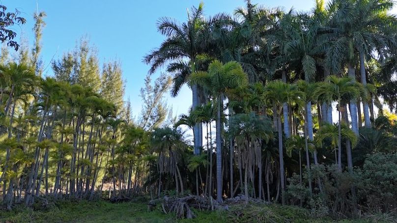 DJI_20260206090914_0257_D