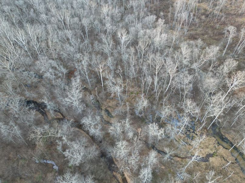 dji_fly_20231130_052254_259_1701905205948_photo