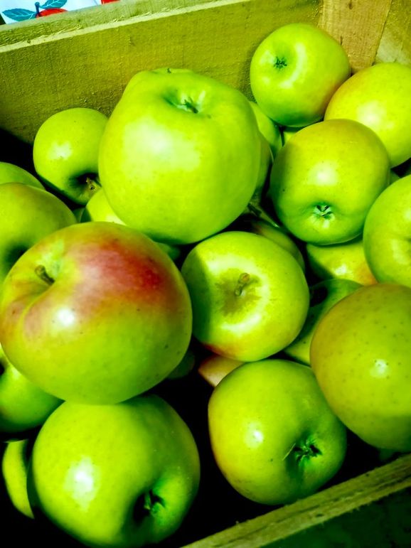 Apples4