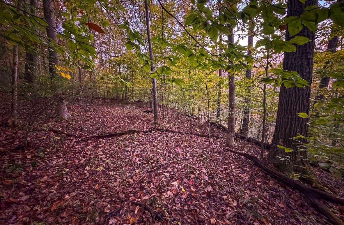 Wirt, WV 43 AC Berry-02