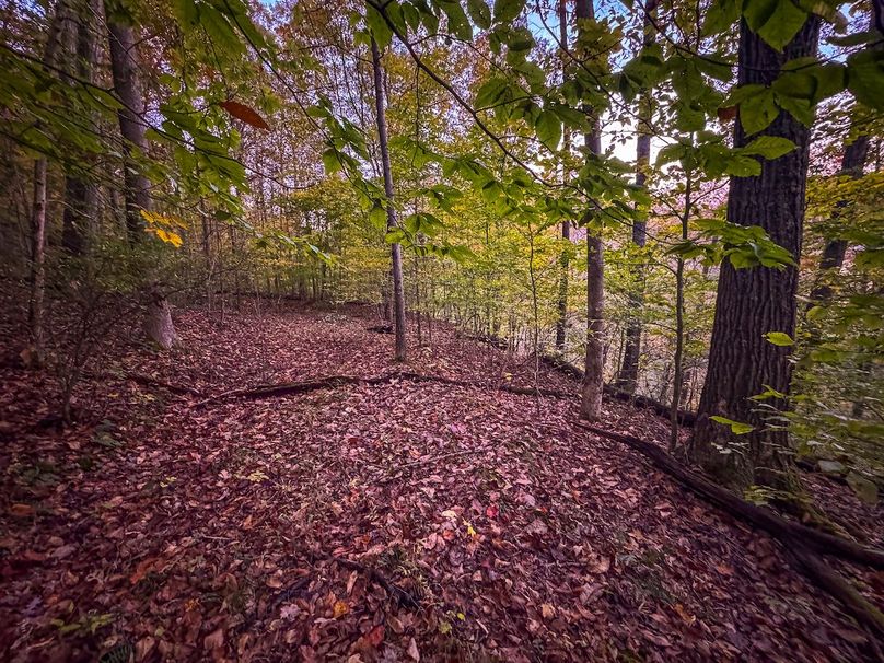 Wirt, WV 43 AC Berry-02