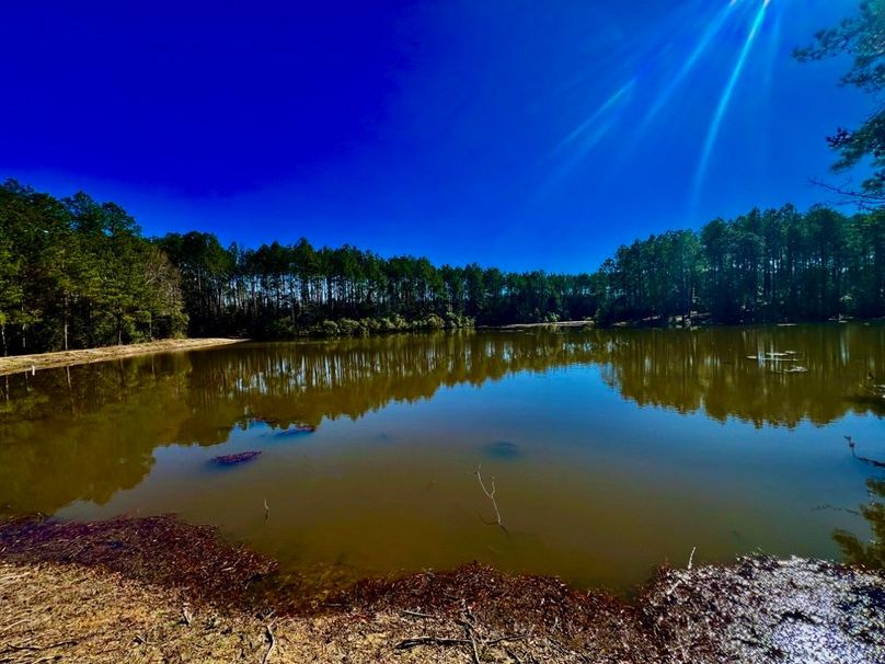 60FDD1E3-C3A0-4BC5-AA8E-A276719D947A_1_201_a