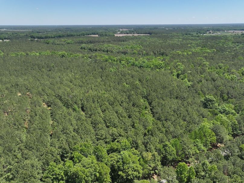 dji_fly_20260508_124852_0709_1778332819367_photo