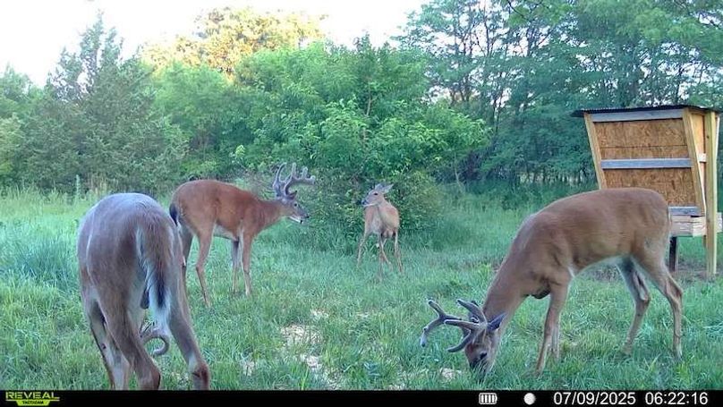 016578001722351-82-2-07092025062216-SYFW01193