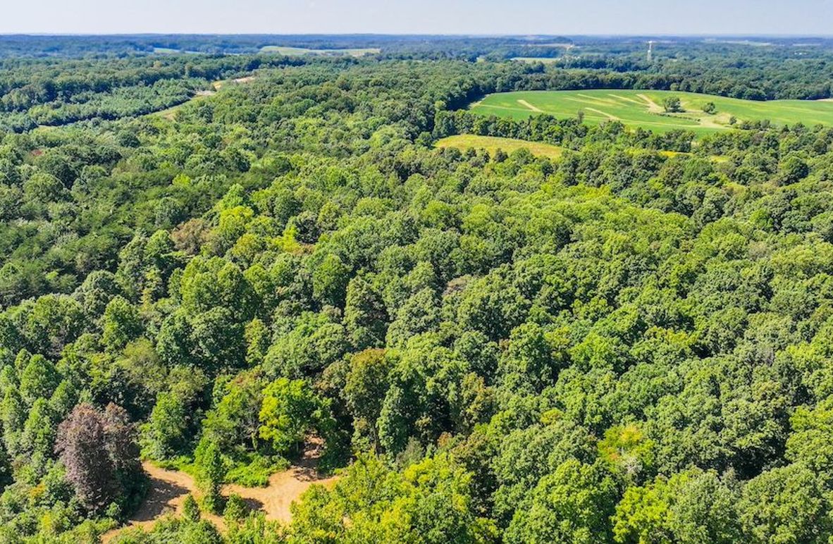 Copy of dji_fly_20250910_132732_0470_1757525878434_photo