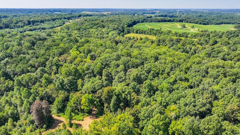 Copy of dji_fly_20250910_132732_0470_1757525878434_photo