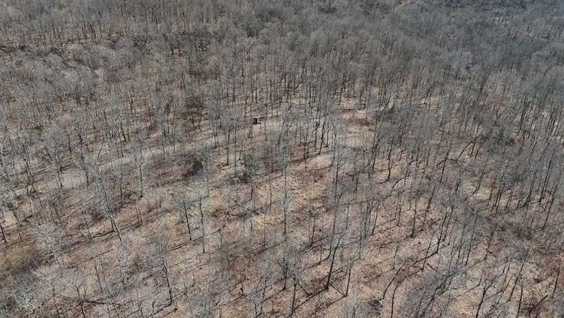 stone8020260307_0063