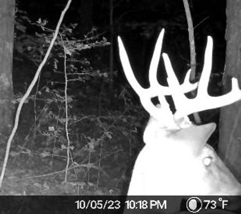 image638338633320222445