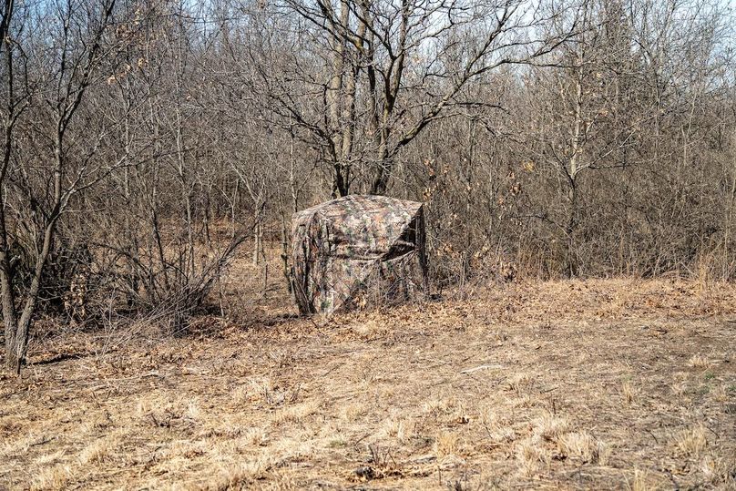 Whiteside IL 49.22_39