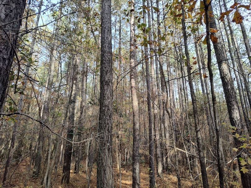 IMG_20251105_150116515_HDR