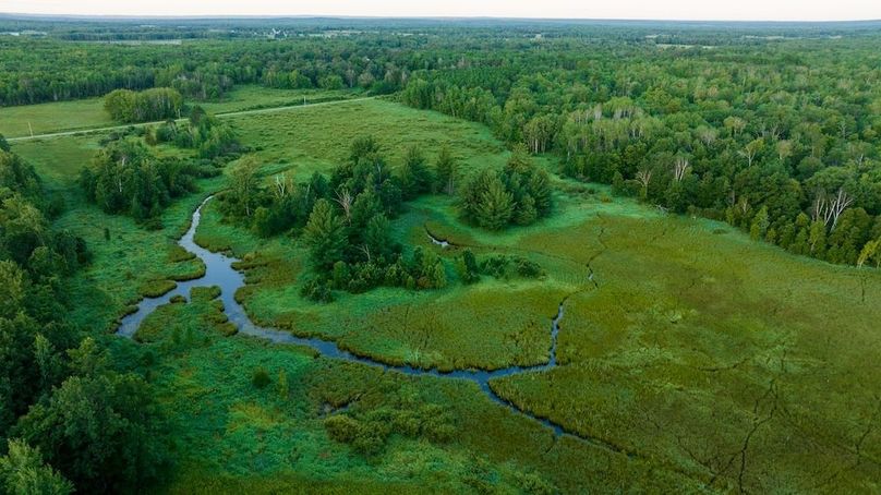 Cass MN 1095 Featured ProPhoto-55