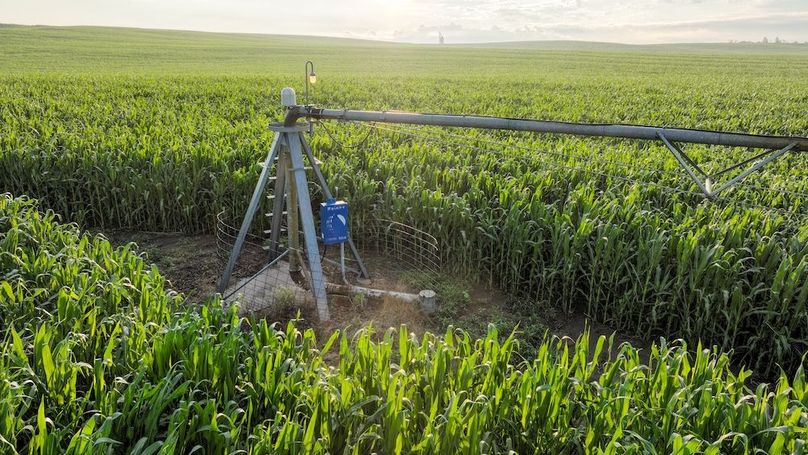 Copy of Copy of DJI_0386