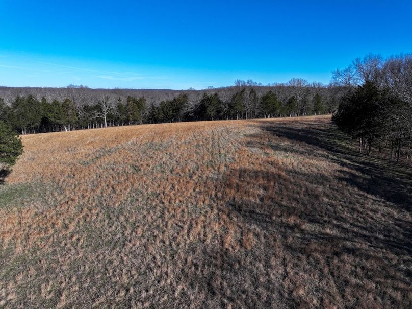 DJI_20260317092801_0963_D