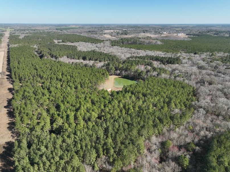 dji_fly_20240207_103650_45_1707320797768_photo