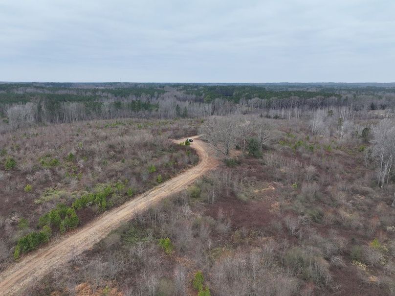 Copy of dji_fly_20251224_114340_0240_1767705649581_photo