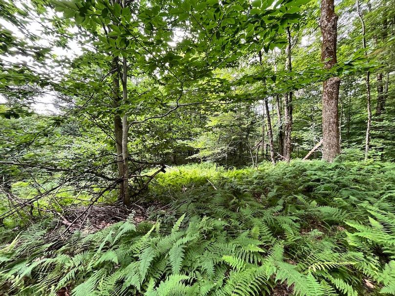 Oswego_133.72_Middleton_Photos_33